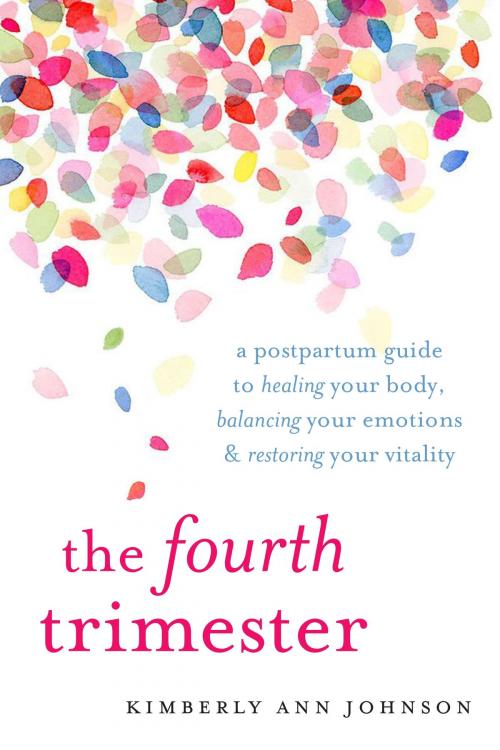 Cover of the book The Fourth Trimester by Kimberly Ann Johnson, Shambhala