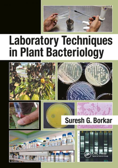 Cover of the book Laboratory Techniques in Plant Bacteriology by Suresh G. Borkar, CRC Press