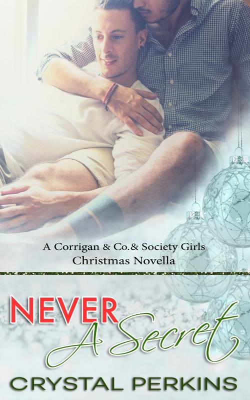Cover of the book Never a Secret by Crystal Perkins, Crystal Perkins