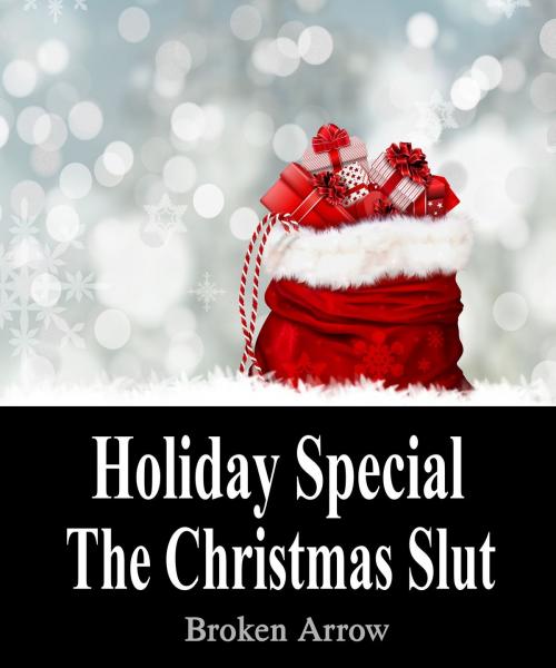 Cover of the book Holiday Special: The Christmas Slut by Broken Arrow, Broken Arrow