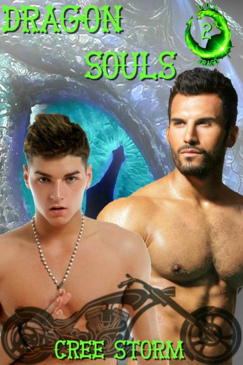 Cover of the book Dragon Souls D.O.A. 2 by Cree Storm, Cree Storm