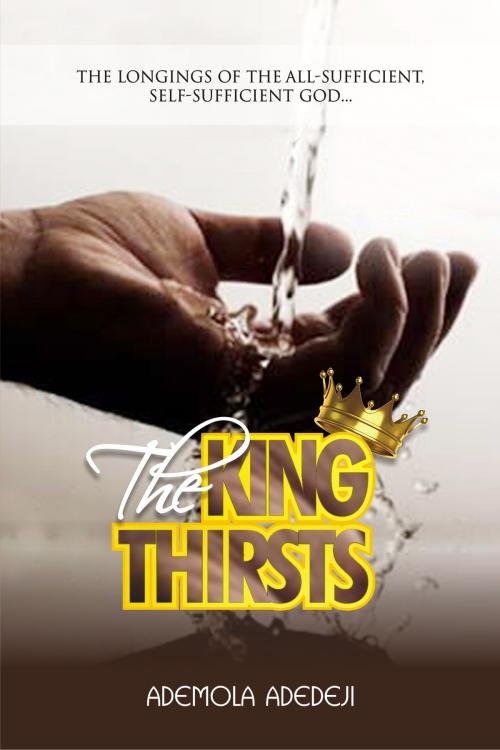 Cover of the book The King Thirsts! by Ademola Adedeji, Ademola Adedeji