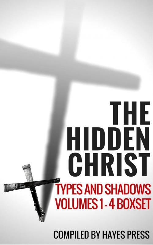 Cover of the book The Hidden Christ - Volumes 1-4 Box Set by Hayes Press, Hayes Press