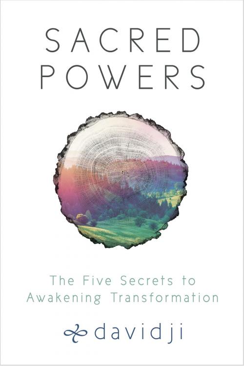 Cover of the book Sacred Powers by Davidji, Hay House