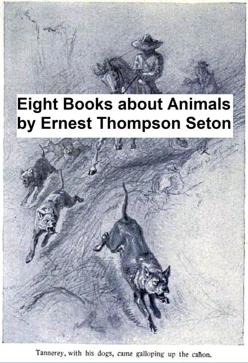 Cover of the book Ernest Thompson Seton: 8 Books About Animals by Ernest Thompson Seton, Seltzer Books