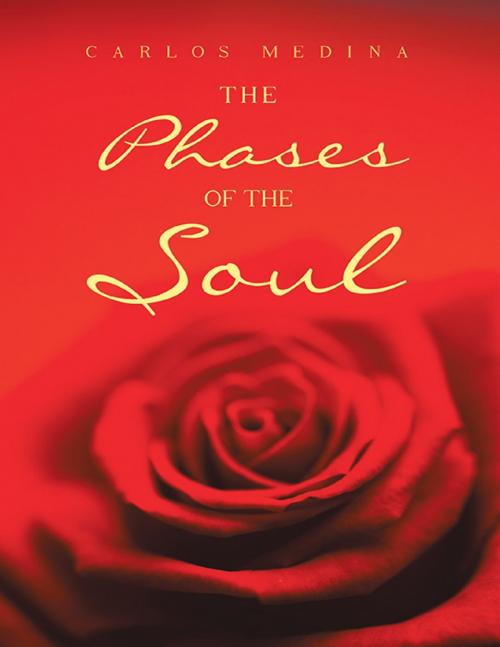 Cover of the book The Phases of the Soul by Carlos Medina, Lulu Publishing Services