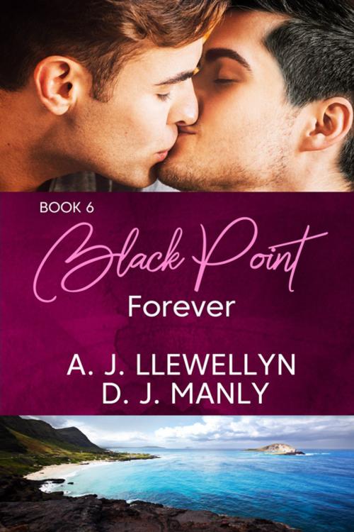 Cover of the book Black Point Forever by A.J. Llewellyn, D.J. Manly, eXtasy Books Inc