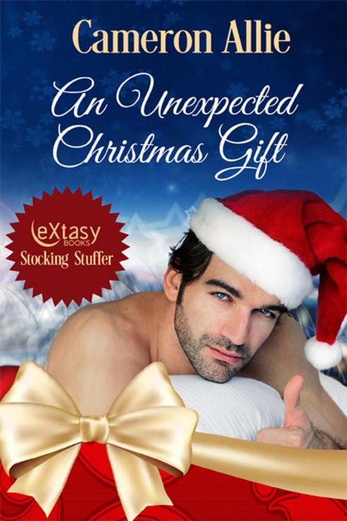 Cover of the book An Unexpected Christmas Gift by Cameron Allie, eXtasy Books Inc