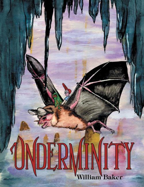 Cover of the book Underminity by William Baker, LifeRich Publishing