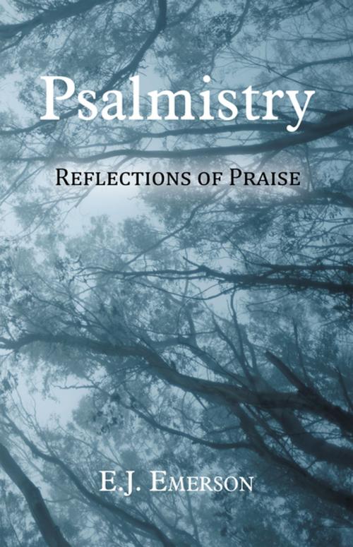 Cover of the book Psalmistry by E.J. Emerson, WestBow Press