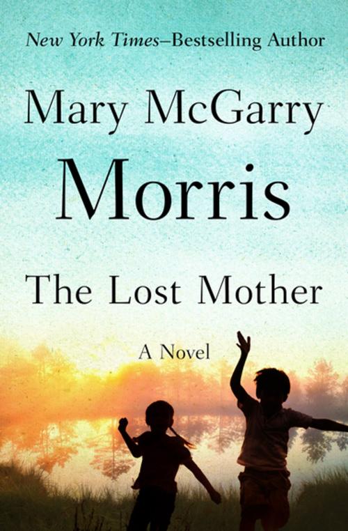 Cover of the book The Lost Mother by Mary McGarry Morris, Open Road Media