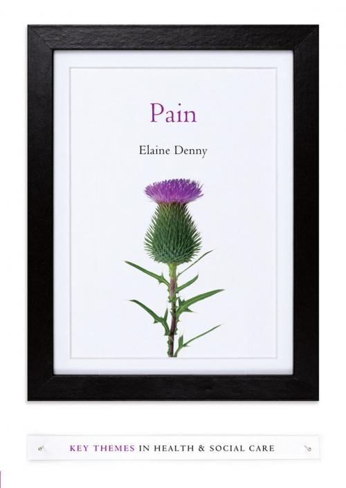 Cover of the book Pain by Elaine Denny, Wiley