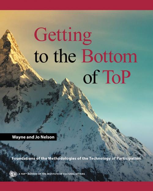 Cover of the book Getting to the Bottom of Top by Wayne, Jo Nelson, iUniverse