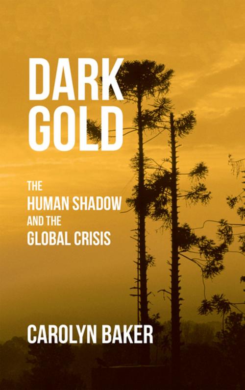 Cover of the book Dark Gold by Carolyn Baker, iUniverse