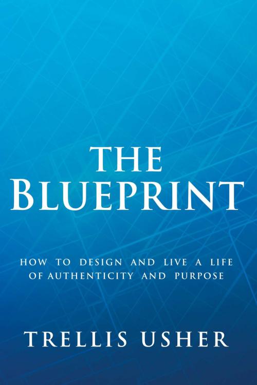 Cover of the book The Blueprint by Trellis Usher, BookBaby