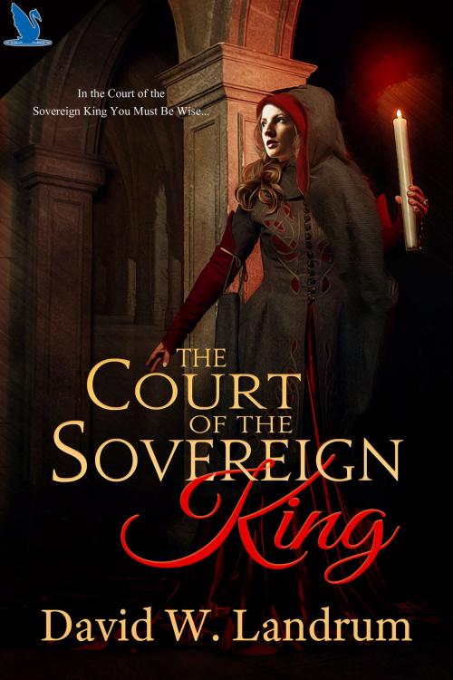 Cover of the book The Court of the Sovereign King by David Landrum, Blue Swan Publishing