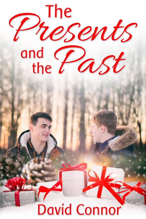 Cover of the book The Presents and the Past by David Connor, JMS Books LLC