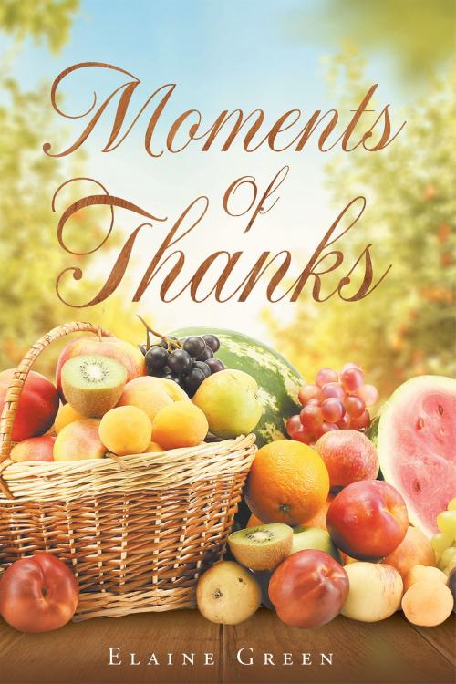 Cover of the book Moments Of Thanks by Elaine Green, Christian Faith Publishing