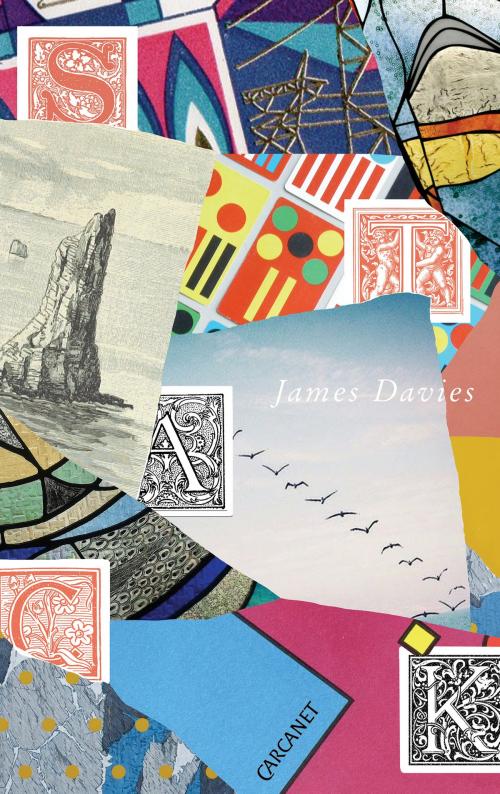 Cover of the book stack by James Davies, Carcanet Press Ltd.