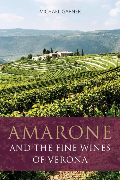Cover of the book Amarone and the fine wines of Verona by Michael Garner, Infinite Ideas Ltd
