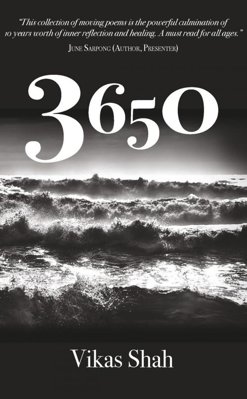 Cover of the book 3650 by Vikas Shah, Vikas Shah