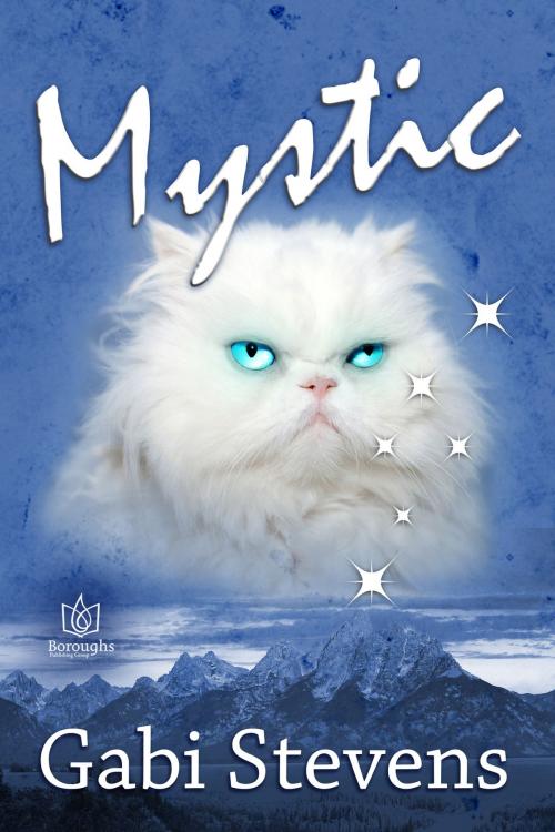 Cover of the book Mystic by Gabi Stevens, Boroughs Publishing Group