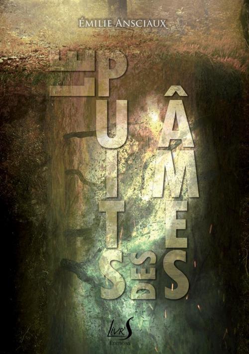 Cover of the book Le Puits des Âmes by Emilie Ansciaux, Livr'S Éditions