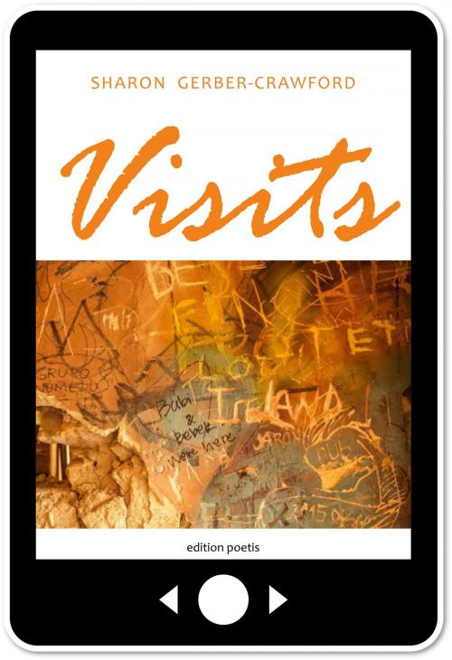 Cover of the book Visits by Sharon Gerber-Crawford, INSCICO, Institute for Science and Innovation Communication GmbH