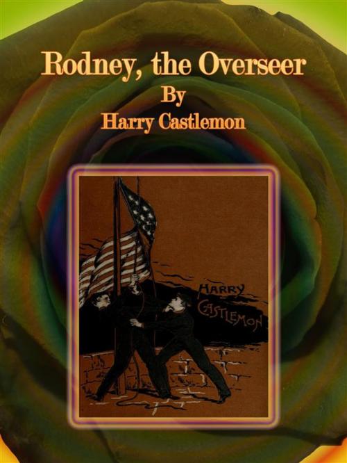 Cover of the book Rodney, the Overseer by Harry Castlemon, Publisher s11838