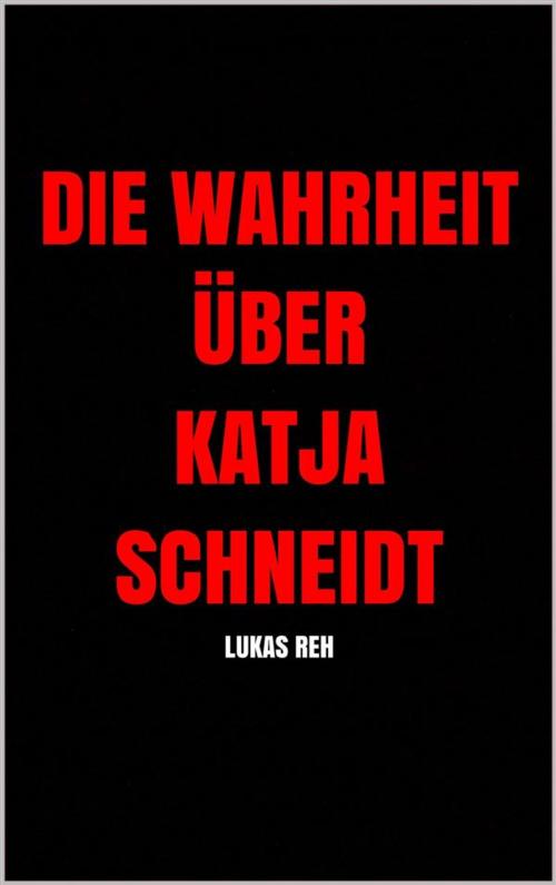 Cover of the book Die Wahrheit über Katja Schneidt by Lukas Reh, Markus Mann