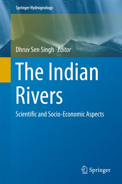 Cover of the book The Indian Rivers by , Springer Singapore