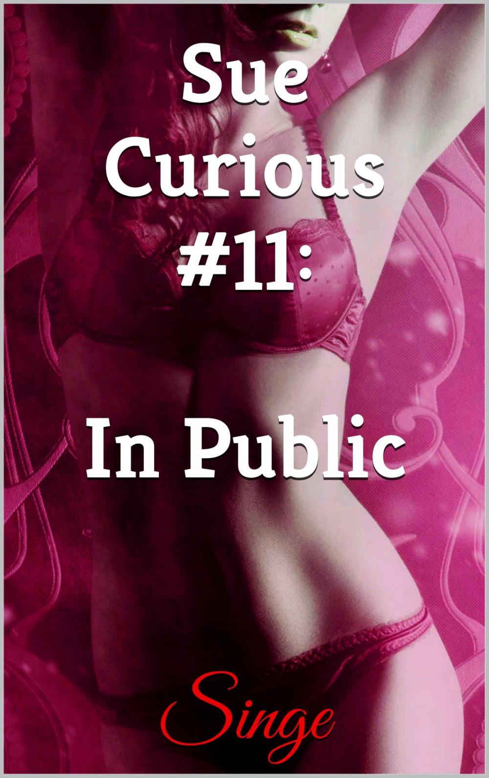 Big bigCover of Sue Curious #11: In Public