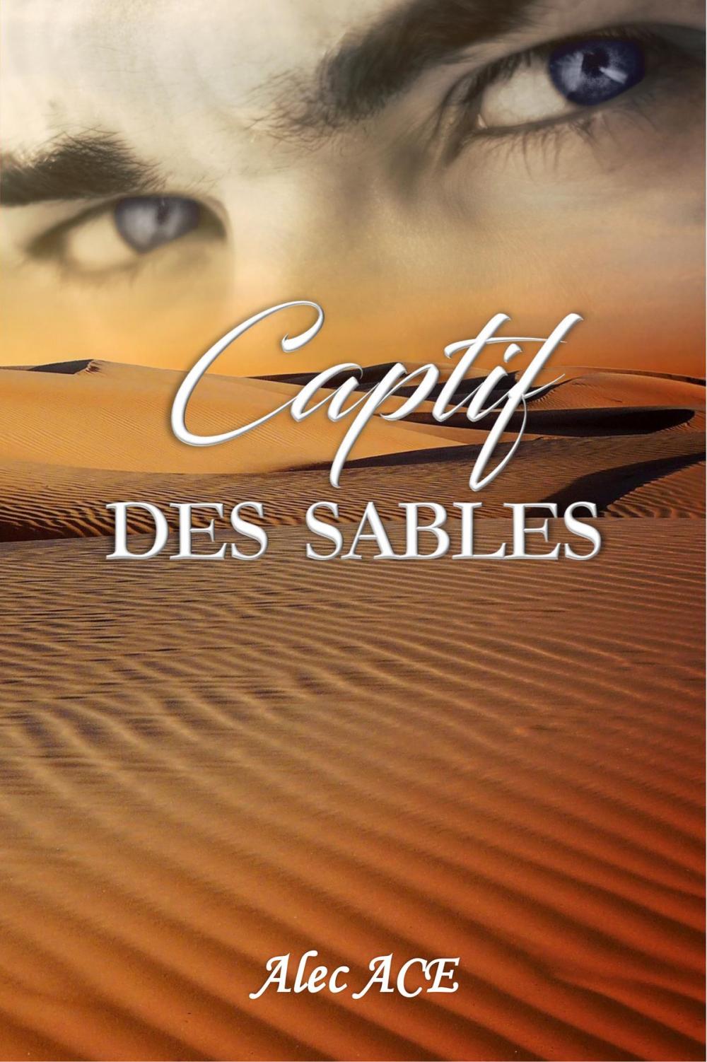 Big bigCover of Captif des sables