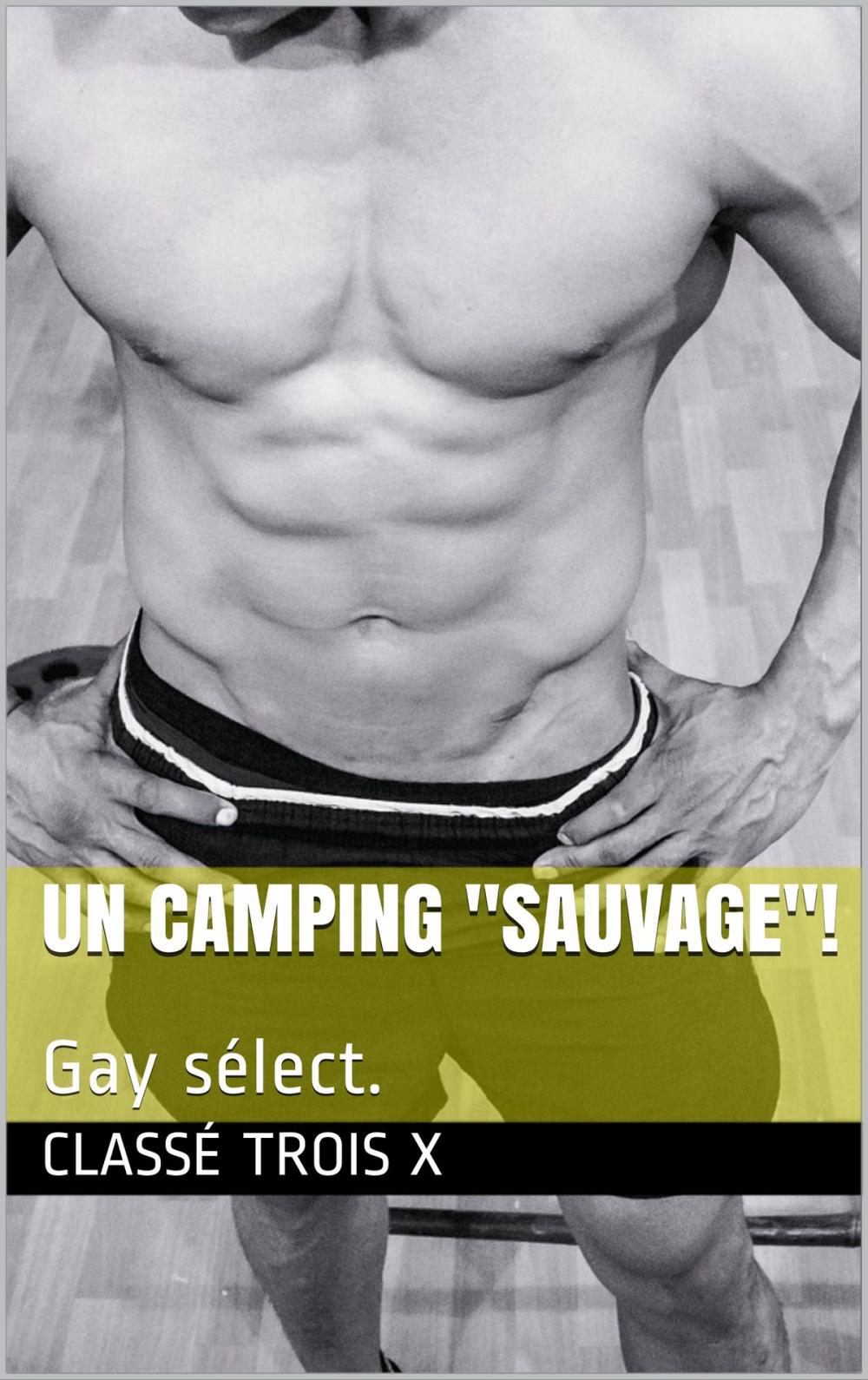 Big bigCover of Un camping sauvage!