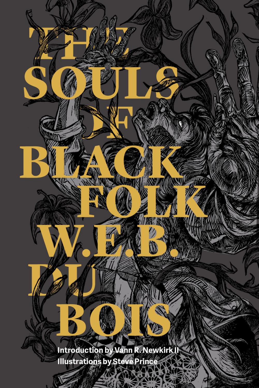 Big bigCover of The Souls of Black Folk