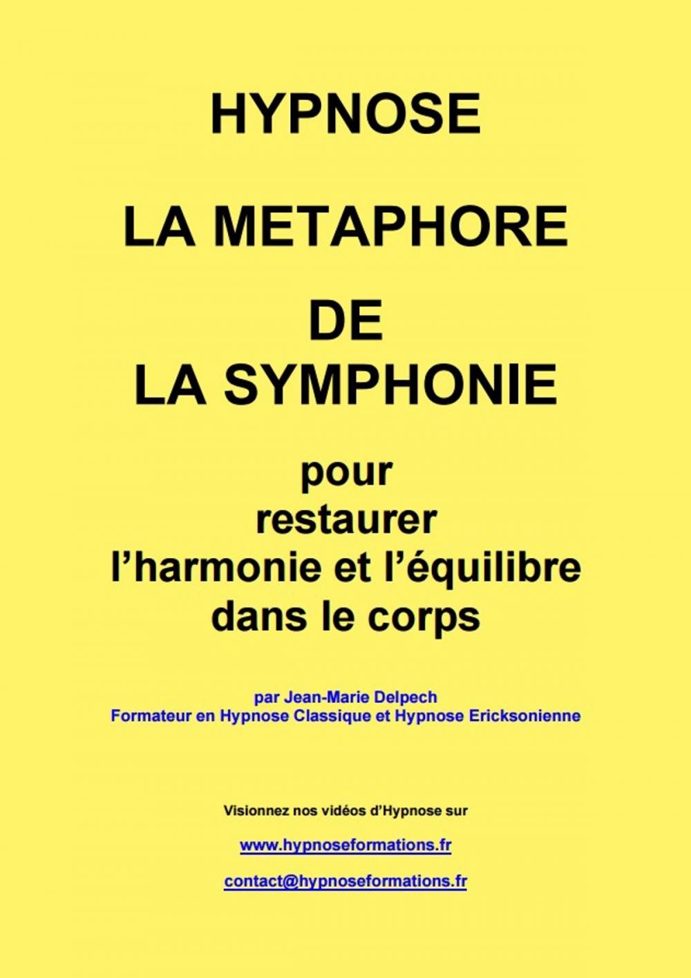 Big bigCover of La métaphore de la Symphonie