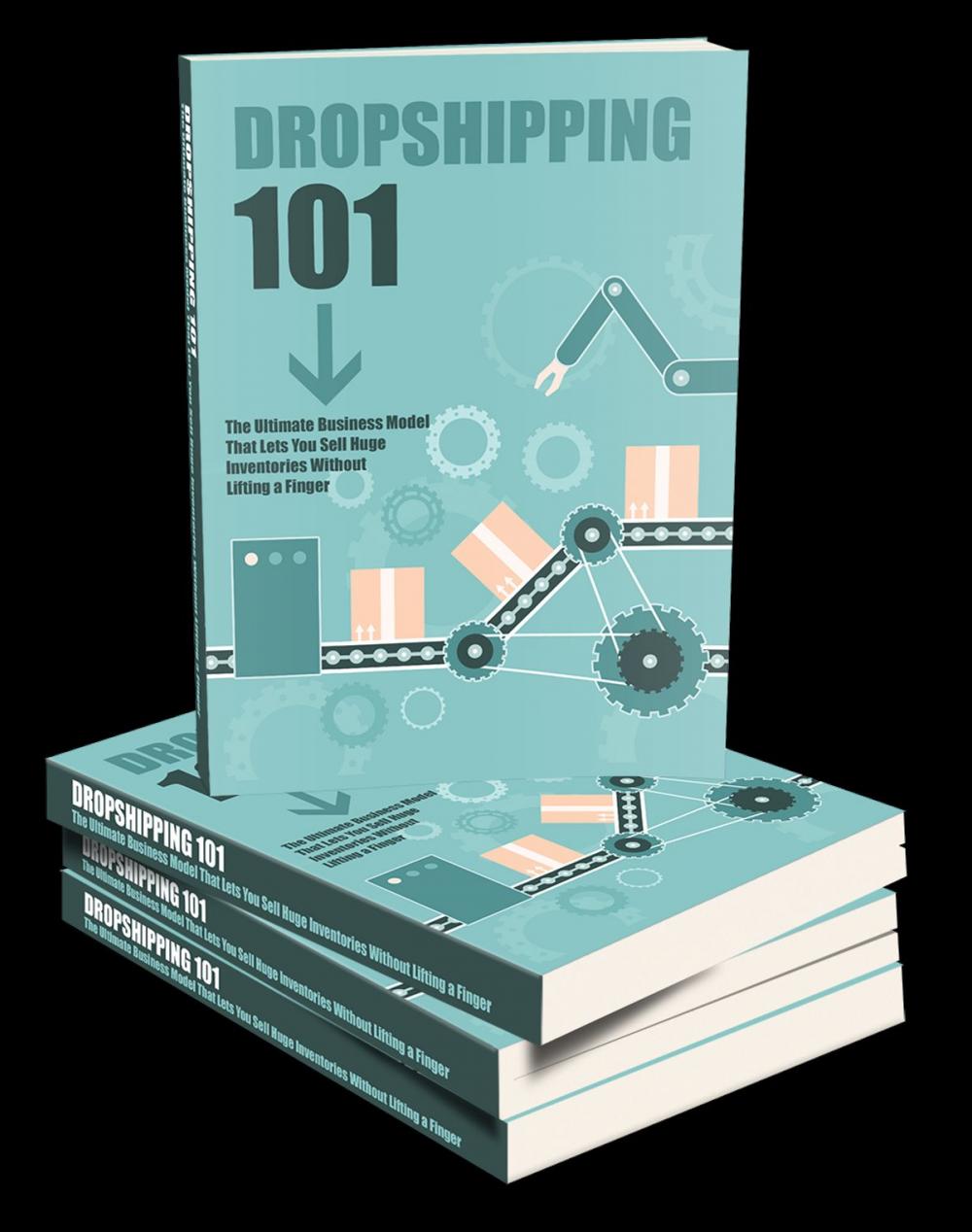 Big bigCover of Dropshipping 101