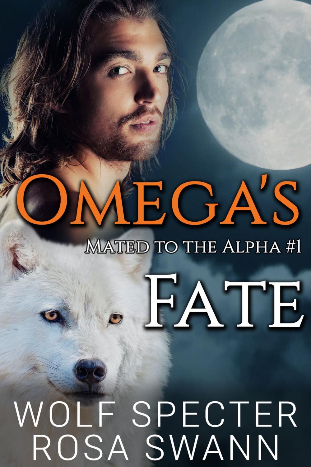 Big bigCover of Omega's Fate