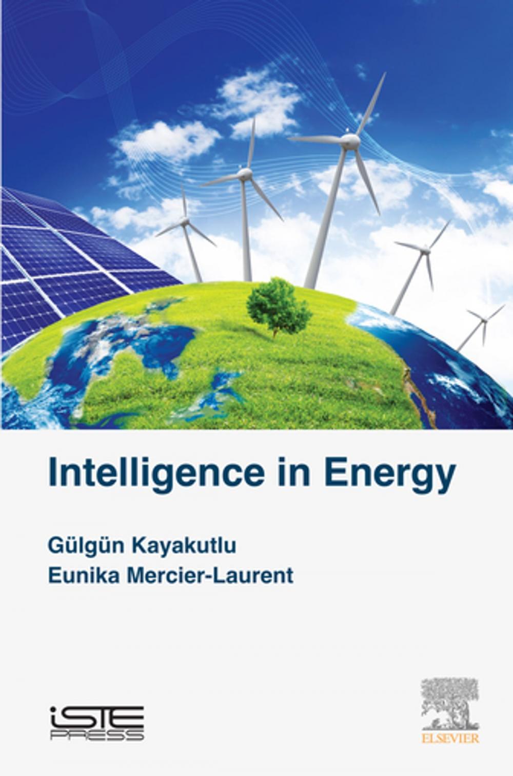 Big bigCover of Intelligence in Energy