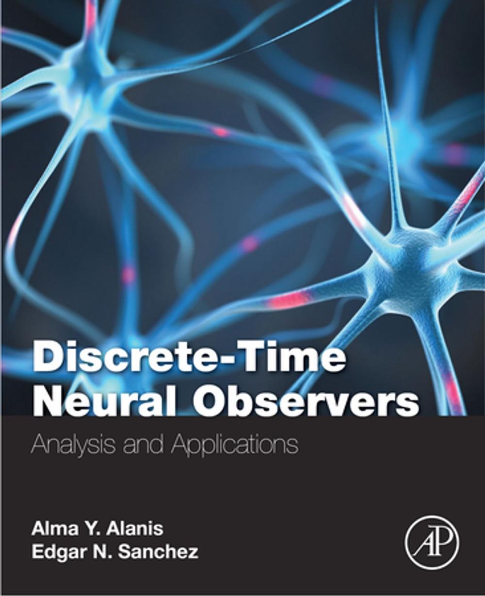 Big bigCover of Discrete-Time Neural Observers