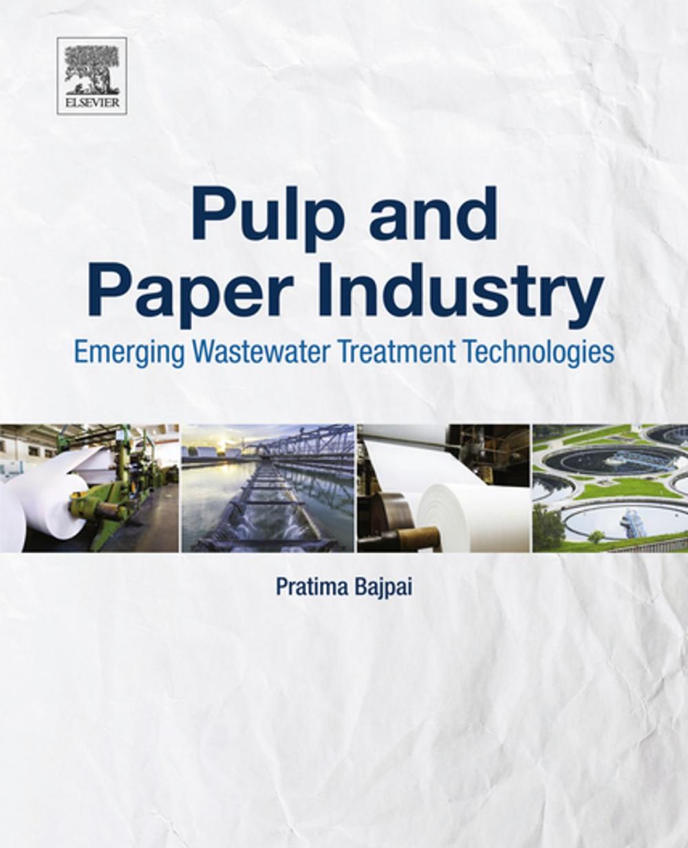 Big bigCover of Pulp and Paper Industry