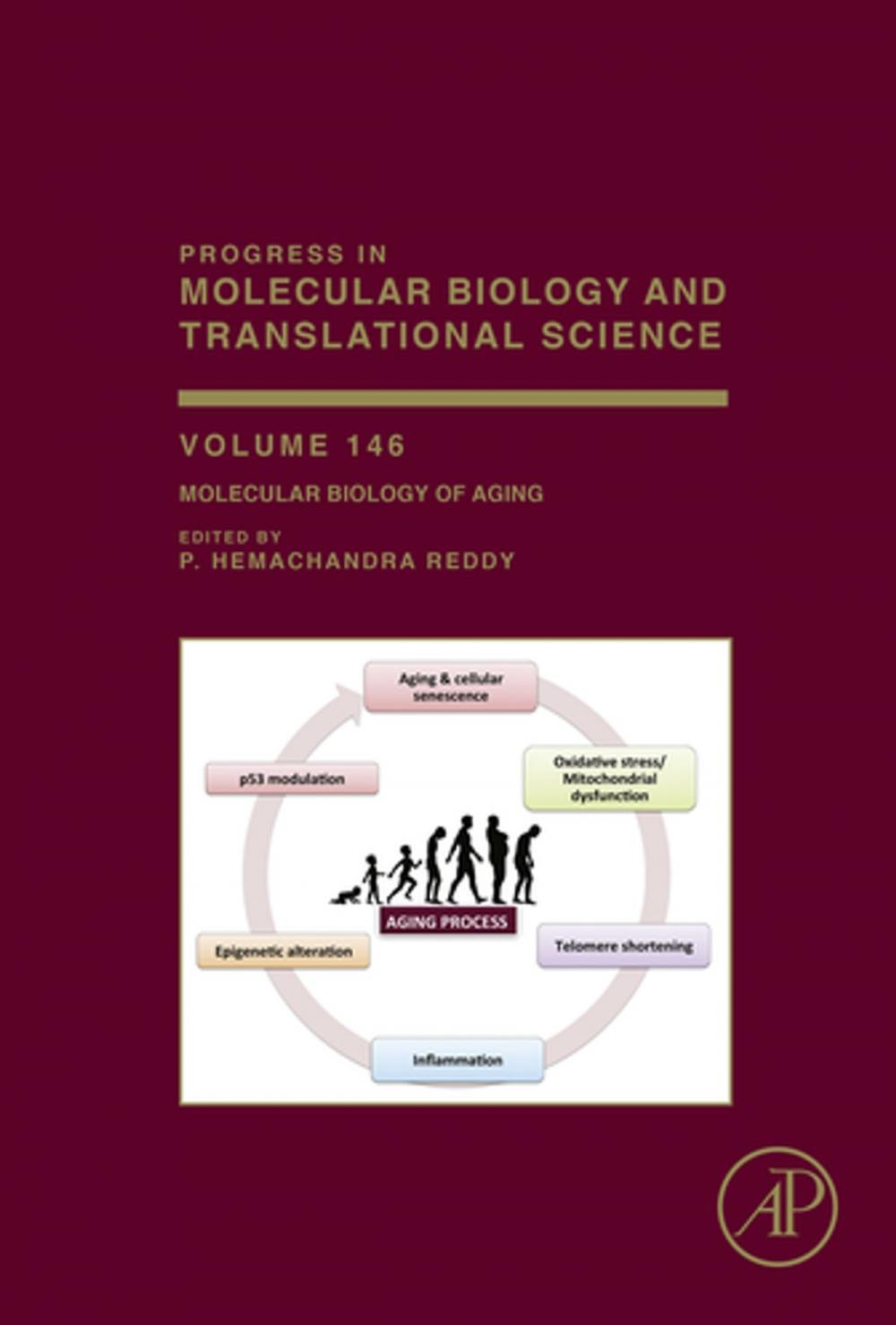 Big bigCover of Molecular Biology of Aging