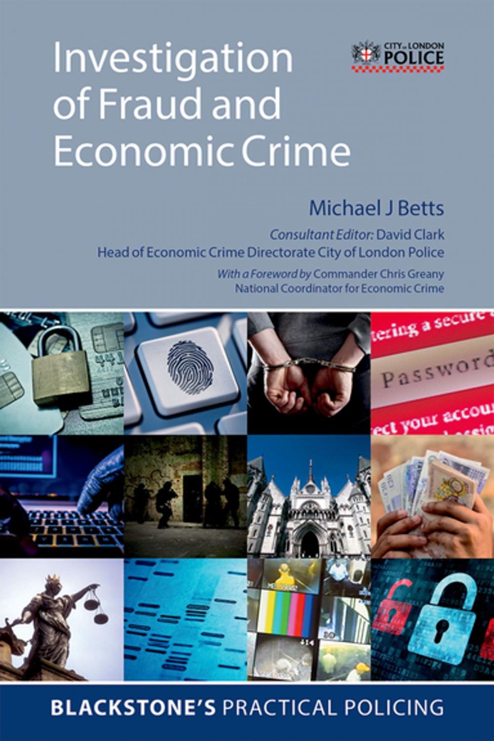 Big bigCover of Investigation of Fraud and Economic Crime