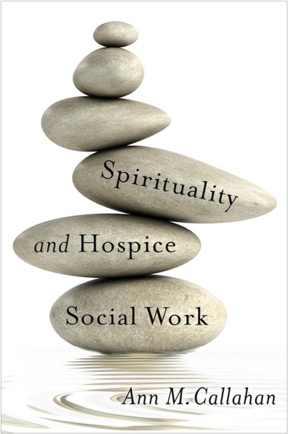 Big bigCover of Spirituality and Hospice Social Work