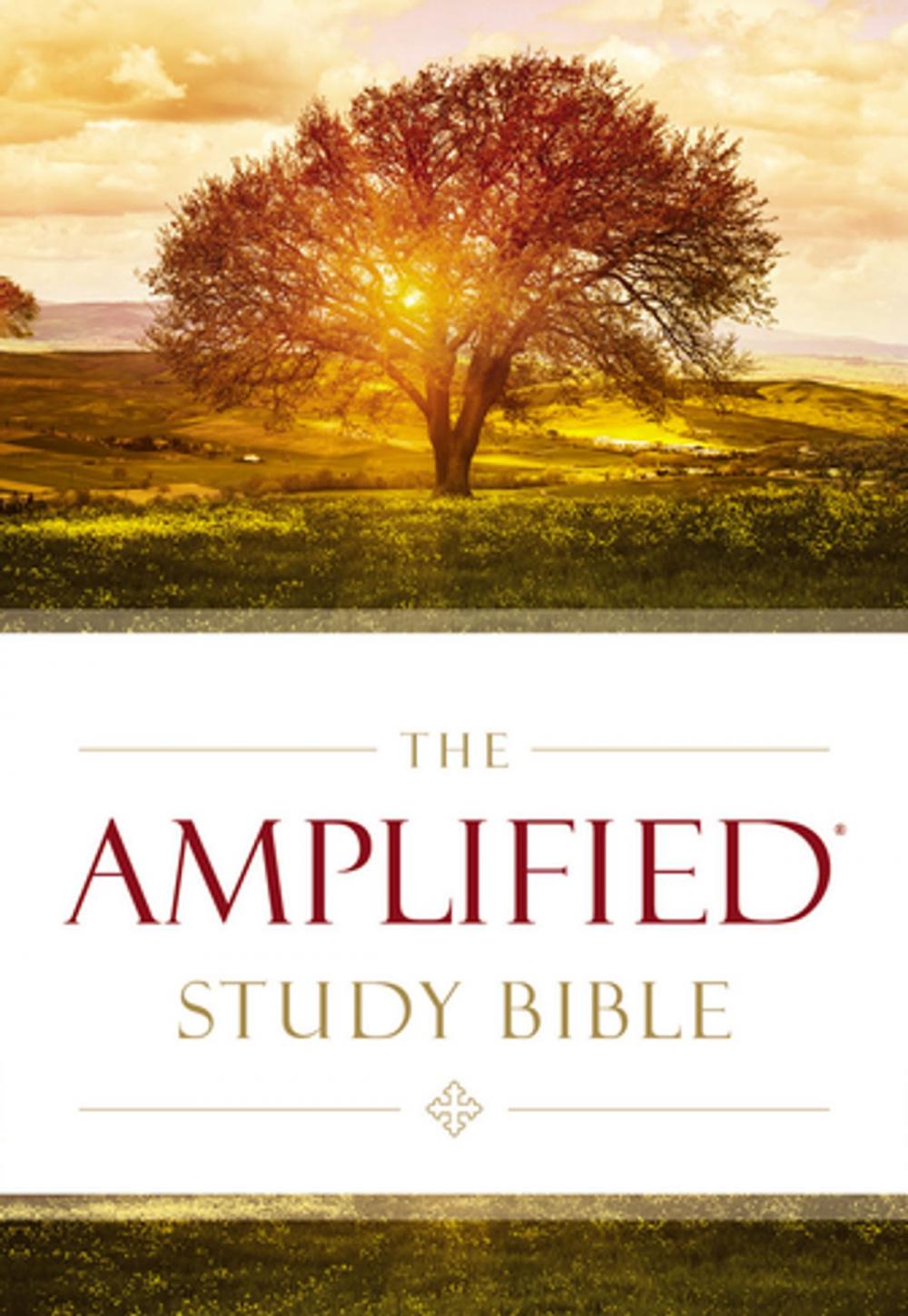 Big bigCover of The Amplified Study Bible, eBook