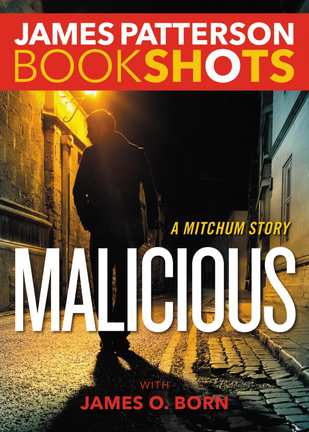 Big bigCover of Malicious