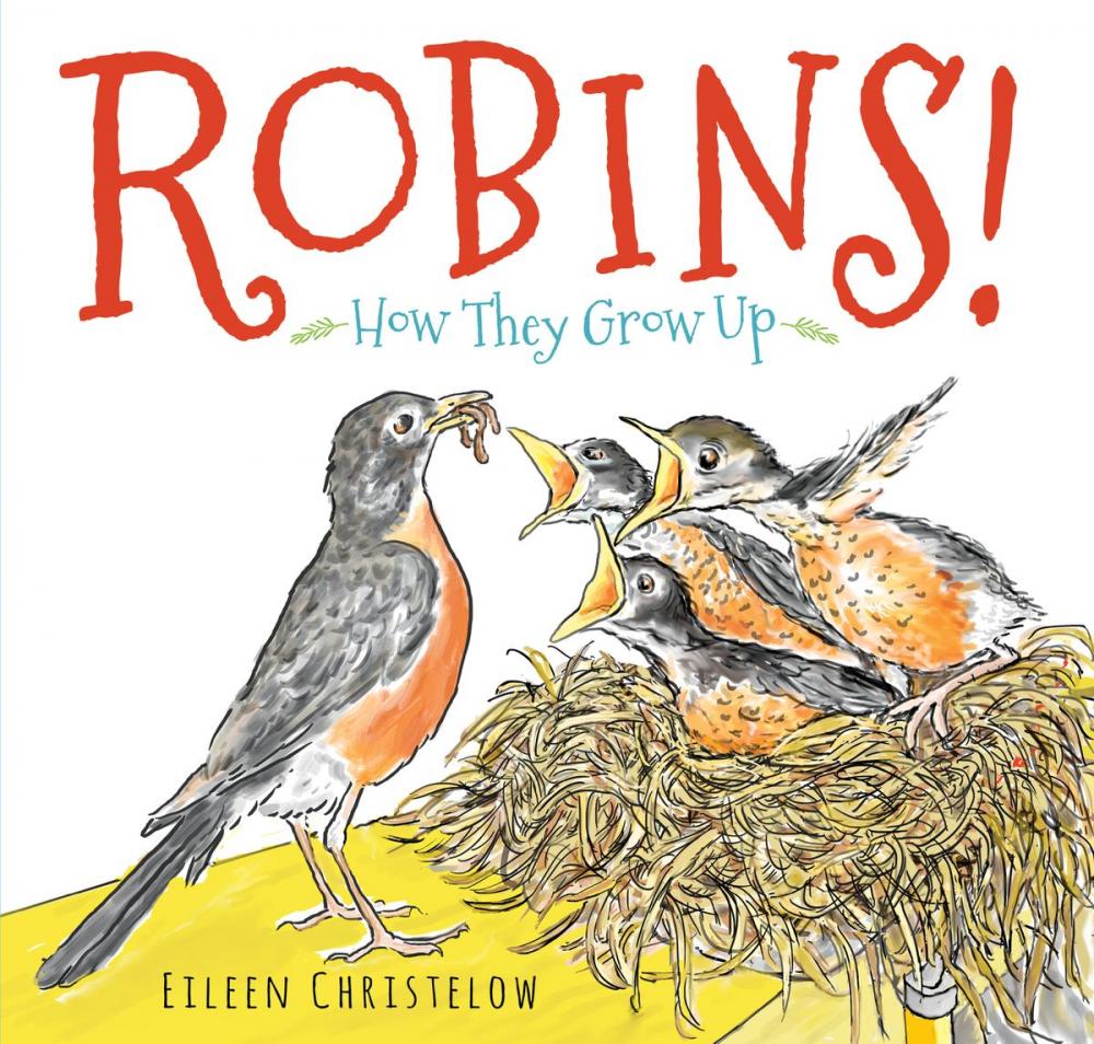 Big bigCover of Robins!