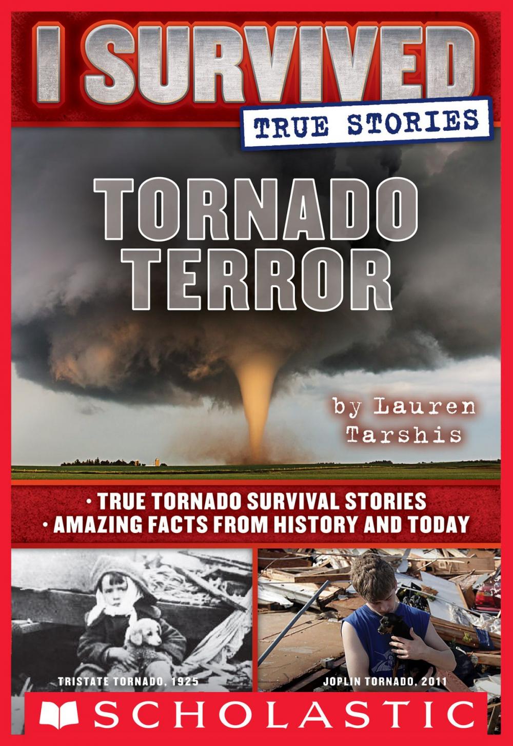 Big bigCover of Tornado Terror (I Survived True Stories #3)