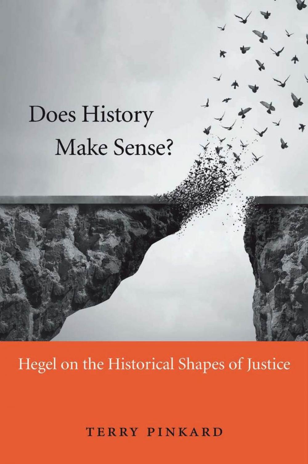 Big bigCover of Does History Make Sense?