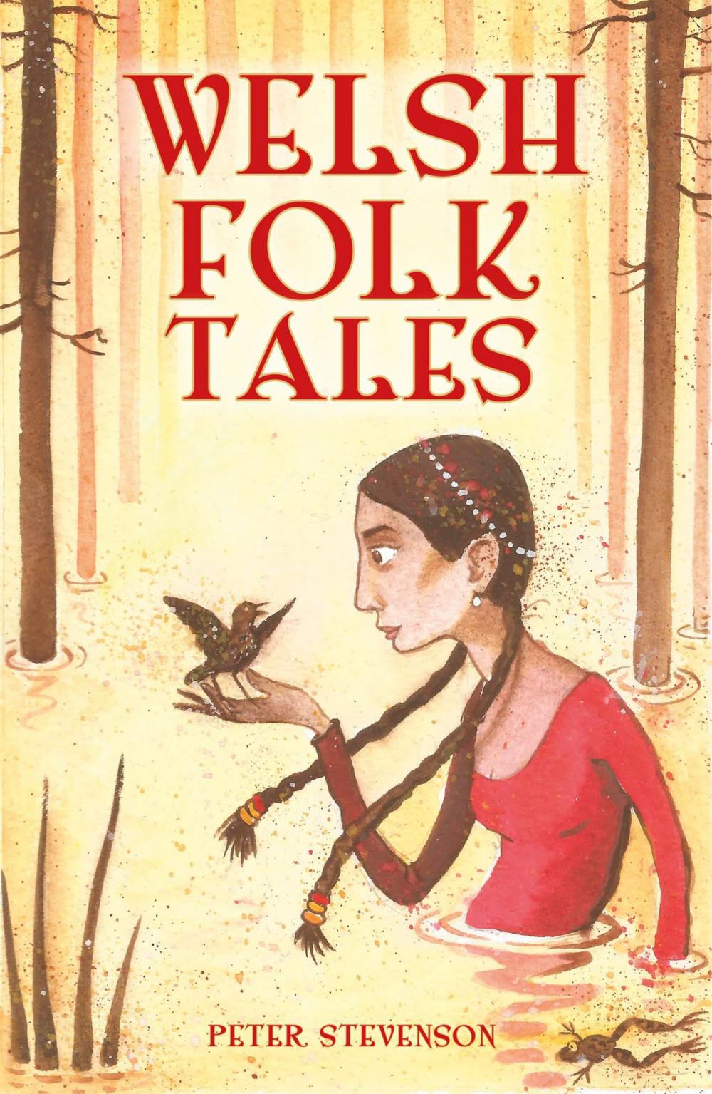 Big bigCover of Welsh Folk Tales